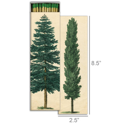Tall Trees Matchbox – Oversized Decorative Safety Matches, Woodland Décor