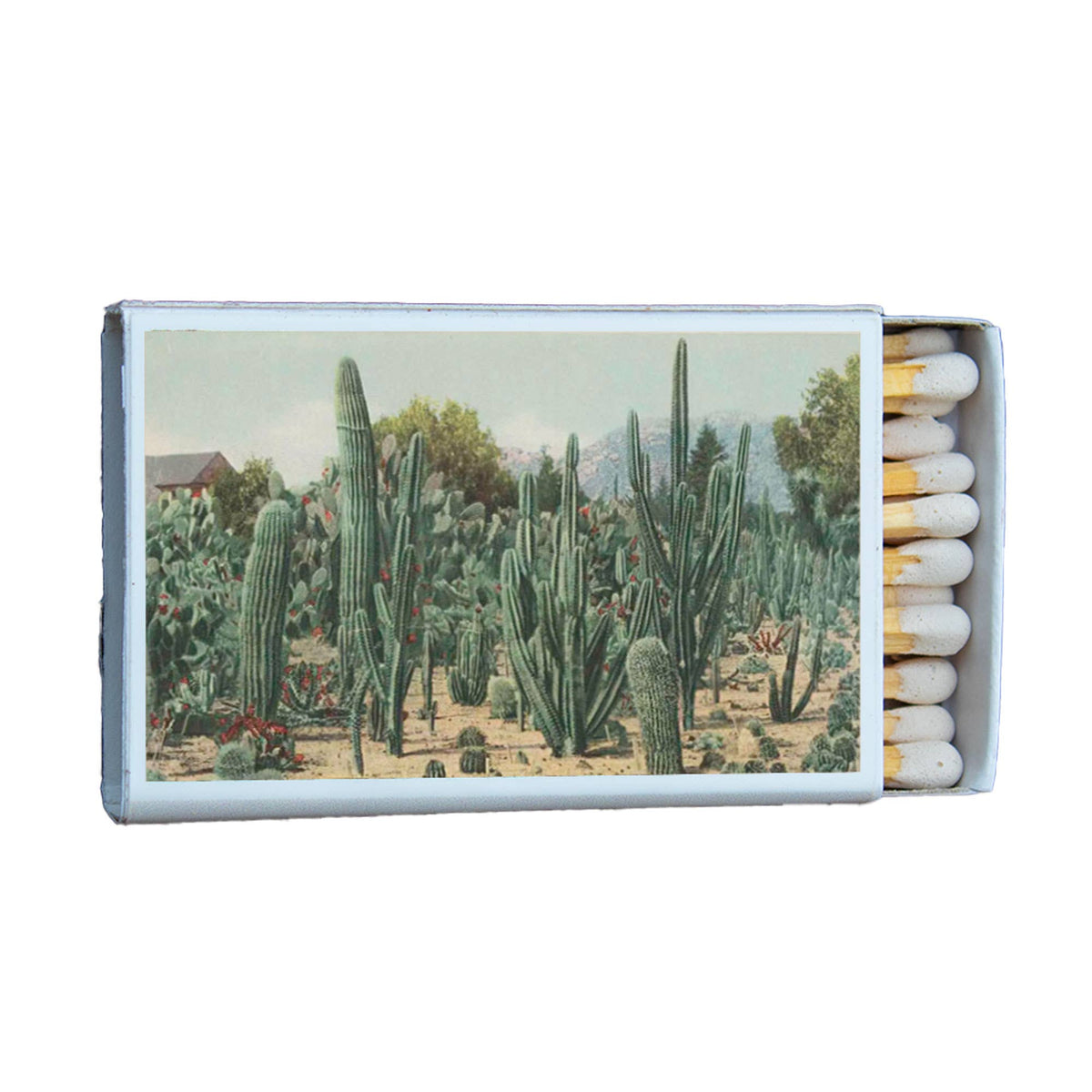 Cactus Garden Matchbox – Desert Botanical Matches, Southwestern Home Décor, Plant Lover Gift
