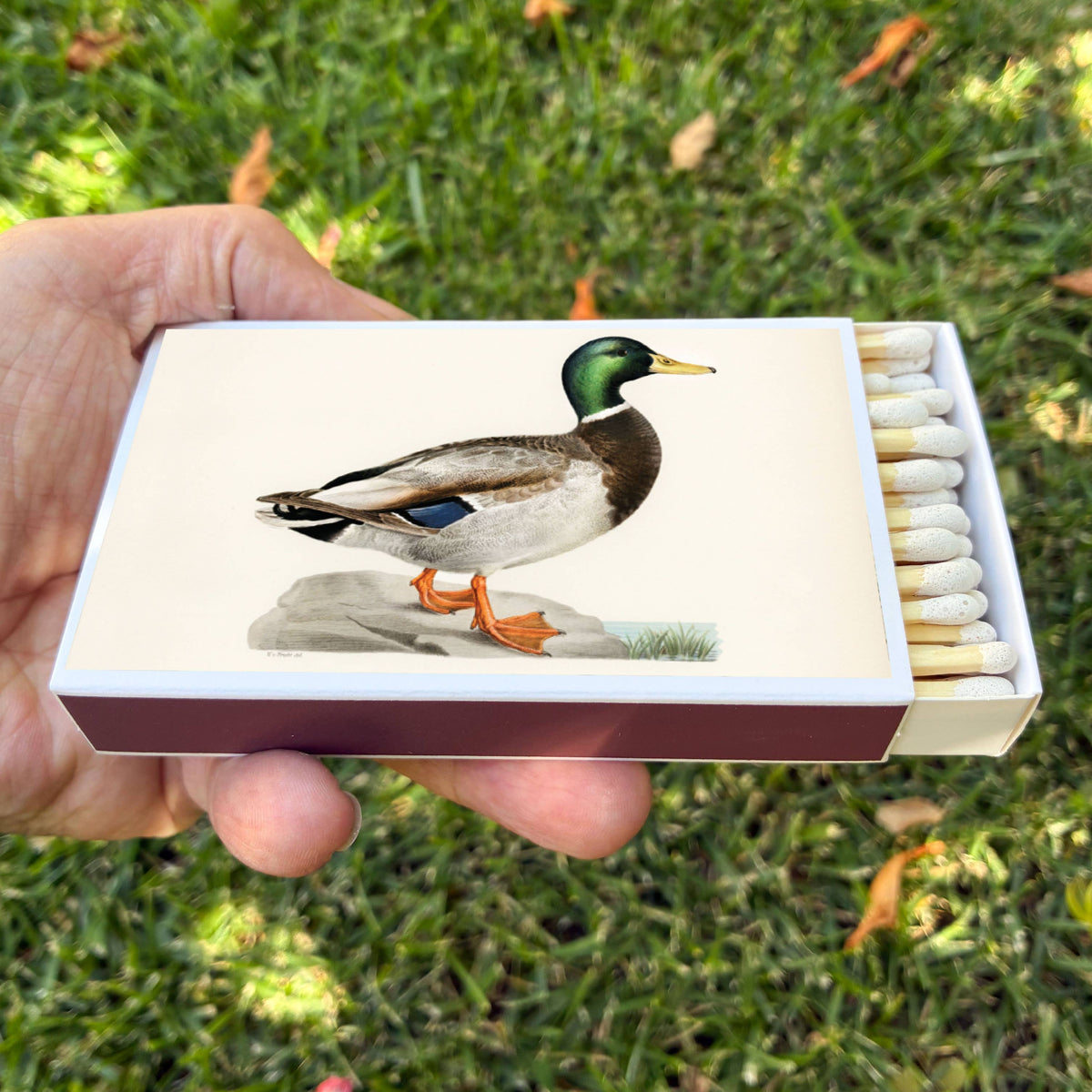 Large Mallard Duck Matchbox – 4-Inch Long Matches, Rustic Cabin Décor, Outdoorsman Gift
