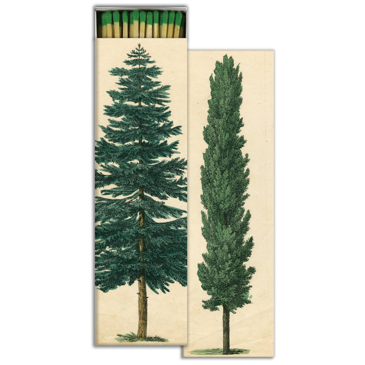 Tall Trees Matchbox – Oversized Decorative Safety Matches, Woodland Décor