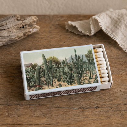 Cactus Garden Matchbox – Desert Botanical Matches, Southwestern Home Décor, Plant Lover Gift