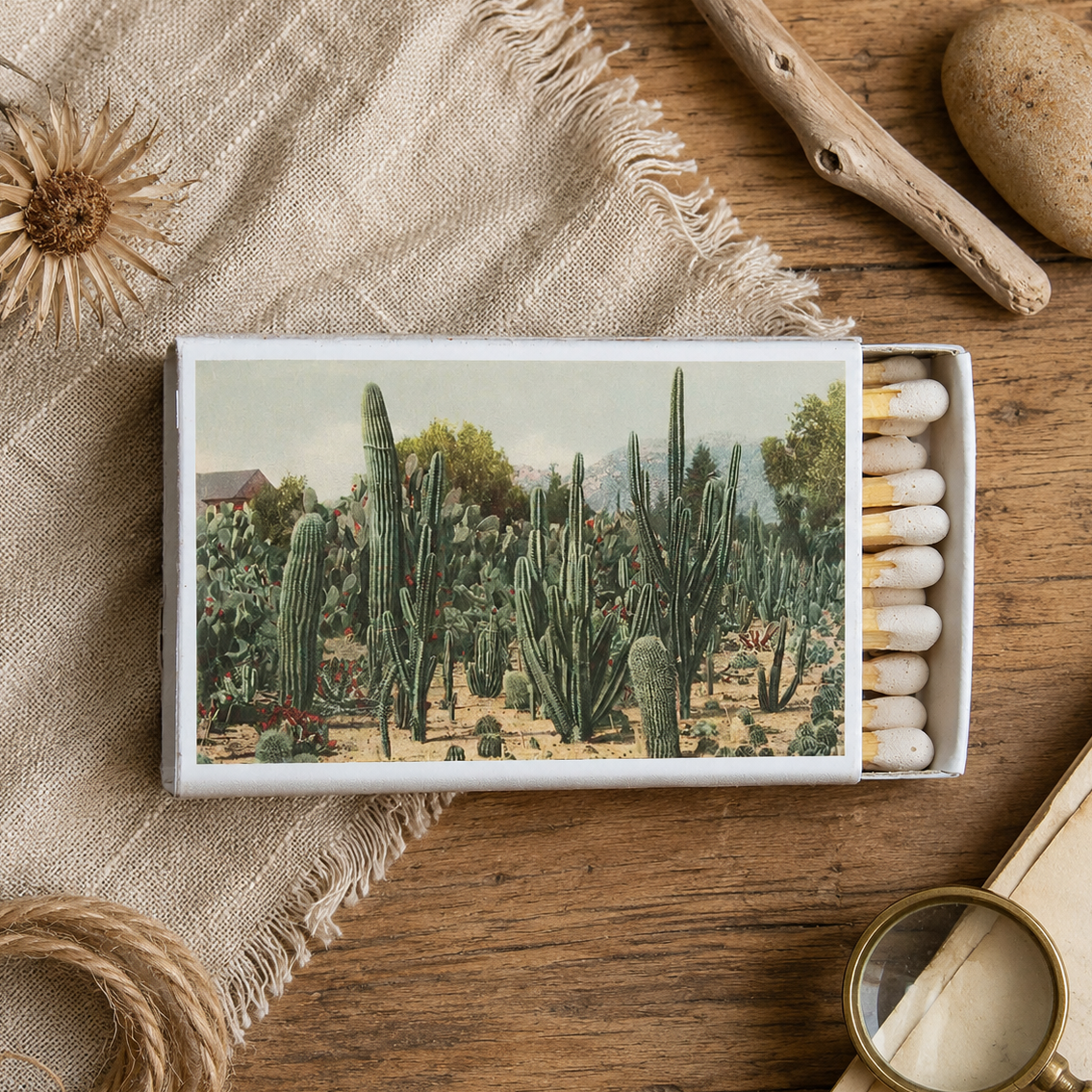 Cactus Garden Matchbox – Desert Botanical Matches, Southwestern Home Décor, Plant Lover Gift