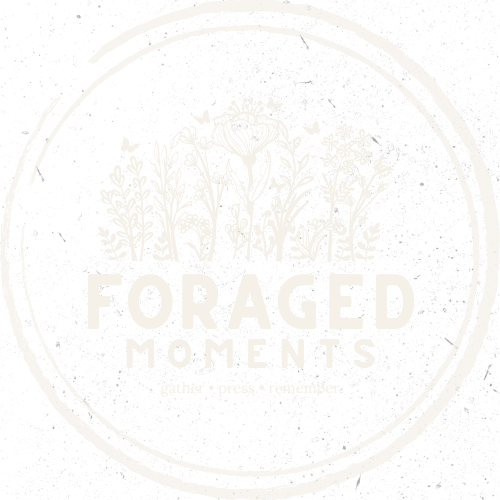 Foraged Moments