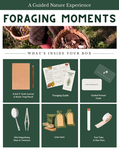 Guided Nature Kit