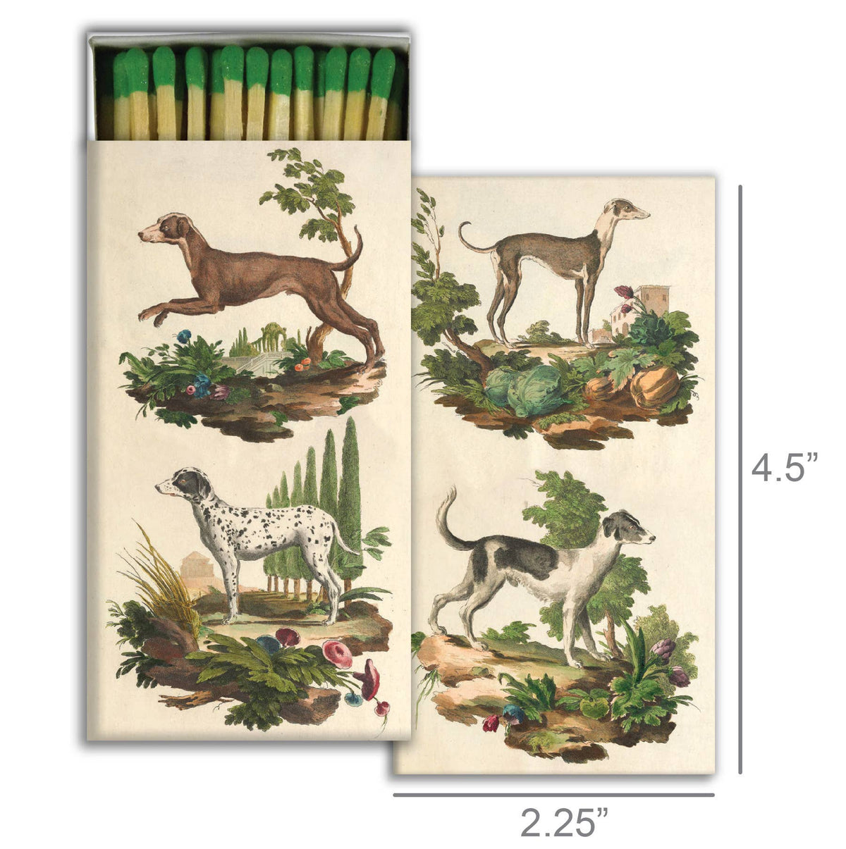 Italian Dogs Matchbox – Decorative Safety Matches, Vintage Canine Décor