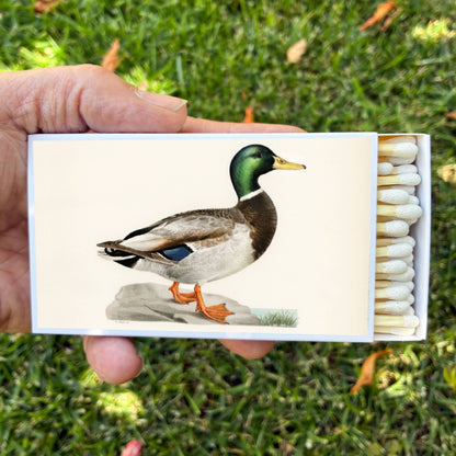 Large Mallard Duck Matchbox – 4-Inch Long Matches, Rustic Cabin Décor, Outdoorsman Gift