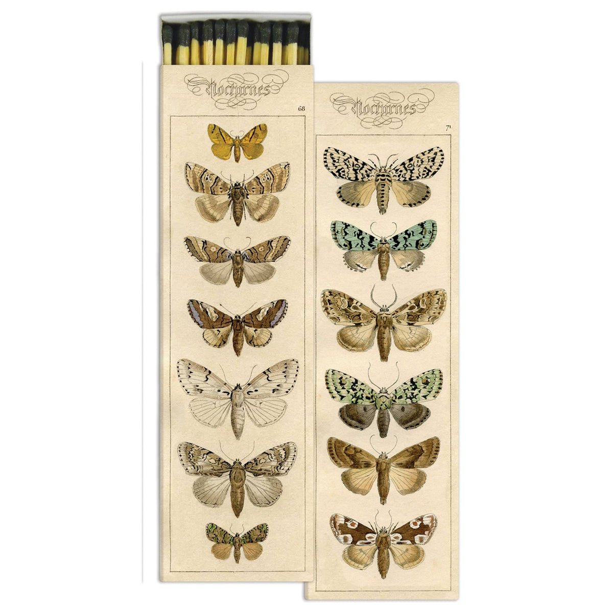 Moth Matchbox – Extra-Long Candle Matches, Cottagecore Insect Décor, Nature Lover Gift, 8.5 × 2.5 Inches
