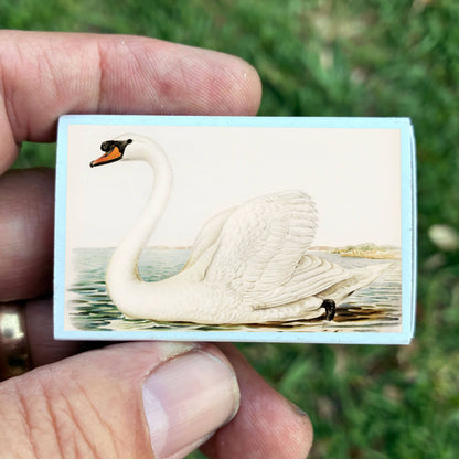 Vintage Swan Matchbox – Elegant Bird Matches, Cottagecore Home Décor, Candle Accessory
